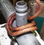 image: Brazing a steel tube and fitting (automotive valve)