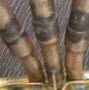 image: Brazing three copper tubes in a four-way valve