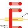 image: Hermetic Sealing a Ferrule & Fiber Optic Cable