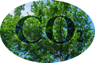Induction is a green technology